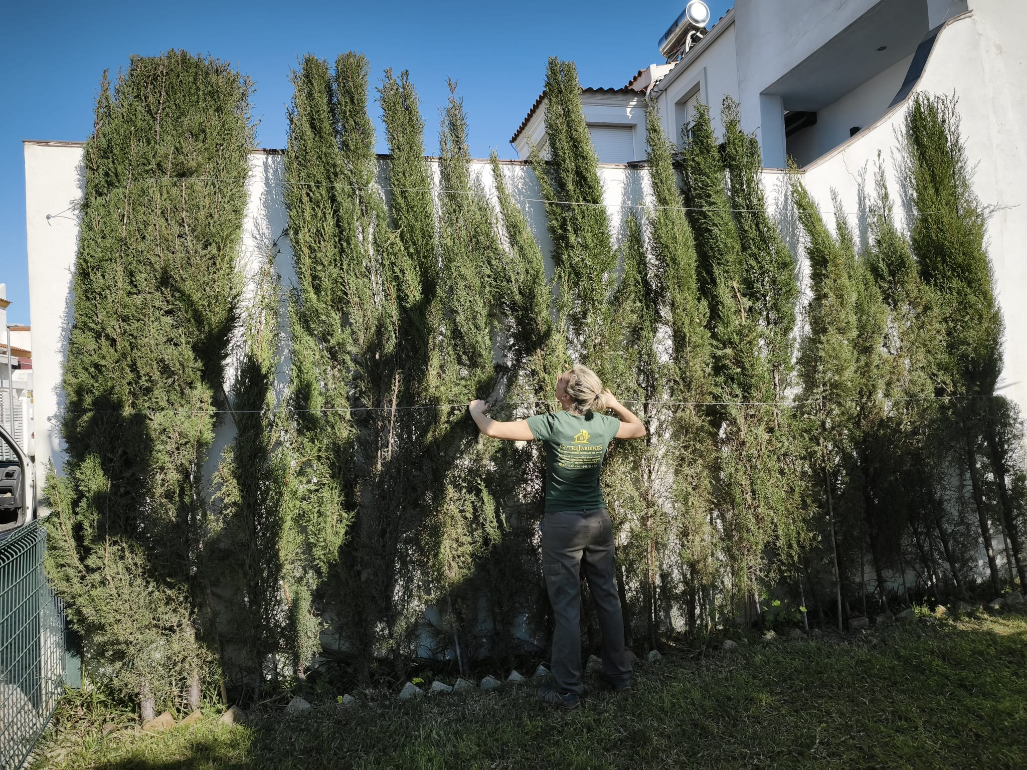 jardineros en Sevilla