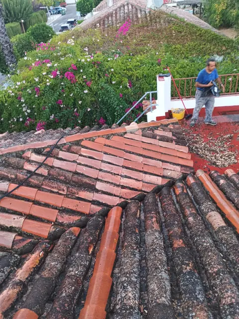 limpieza y reparación de tejados en Sevilla