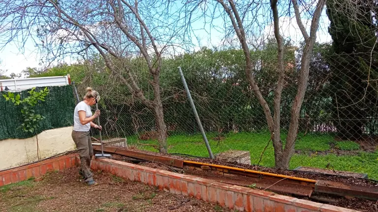 Servicio de jardinería en Sevilla